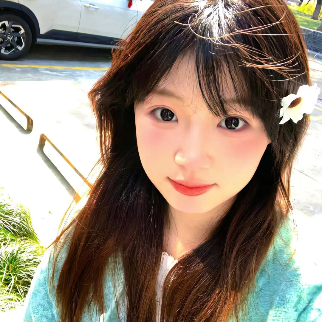 小象守护者